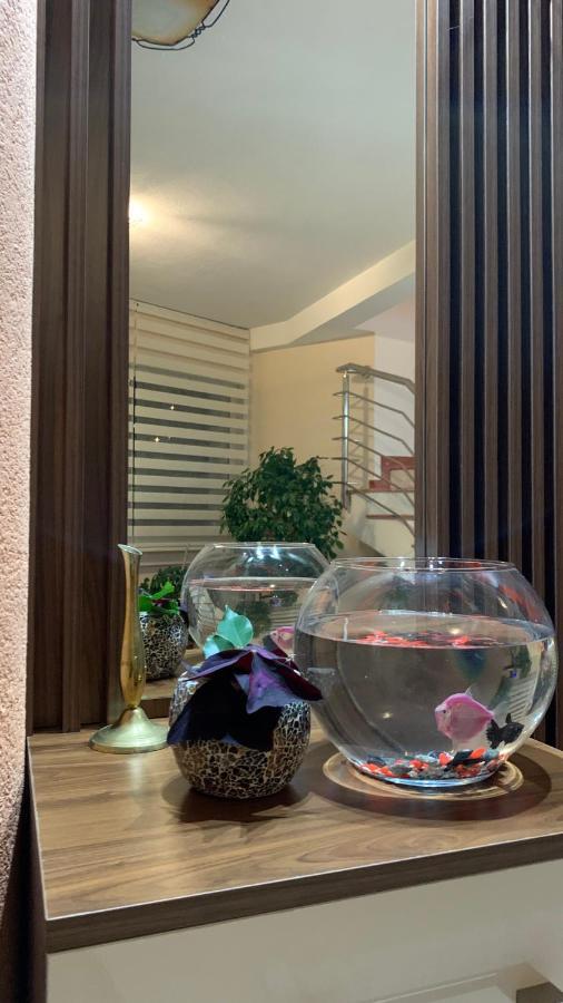 Guest House Nuhii 울친 외부 사진